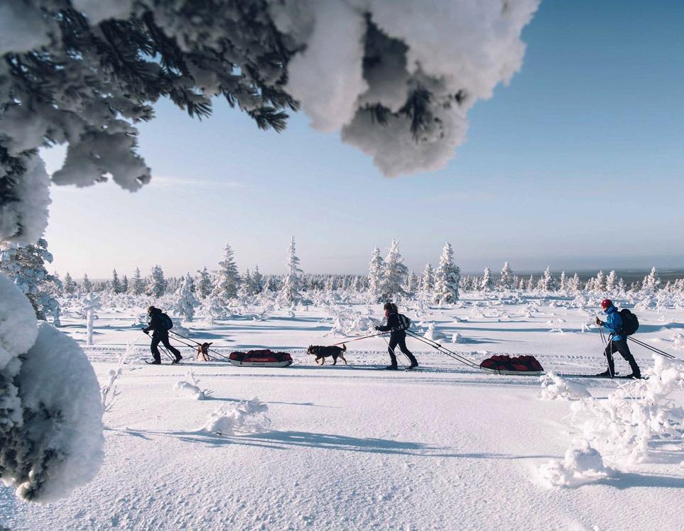 OHJEISTOA SAA JA PITÄÄ HYÖDYNTÄÄ.