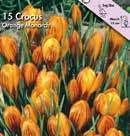 Exotic Garden syysluettelo 2019 Crocus Sahramit eli krookukset ovat matalia ja kauniita.