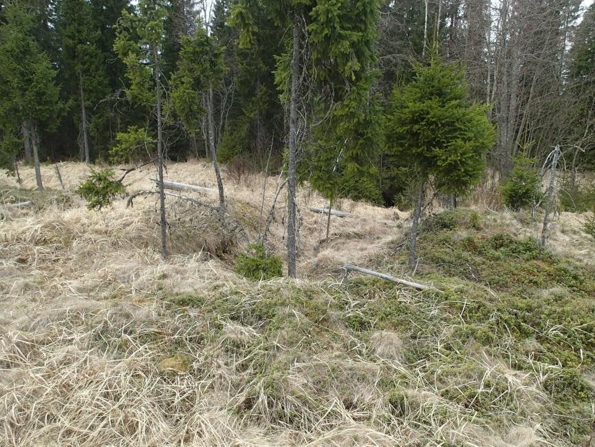 18 maasaunan jäännös kuvattuna puron suunnasta etelään. Alla puron suuntaan 7 ISOJOKI KOHTAKORPI 1 Mjtunnus: Rauh.