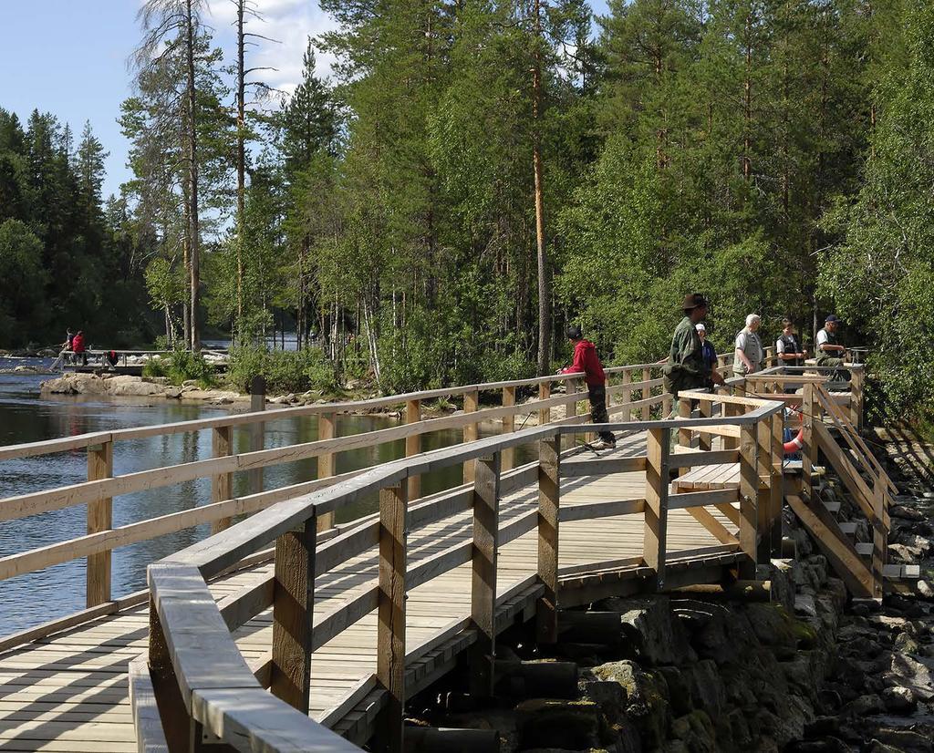 METSÄHALLITUKSEN LUONNONSUOJELUJULKAISUJA.