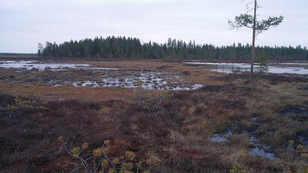 Vapo Oy Aappo Luukkonen Juha