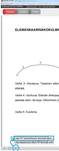 Raportin tulostus 1. Napsauta aktiiviseksi TurnitIN-valinnoista Originality 2.