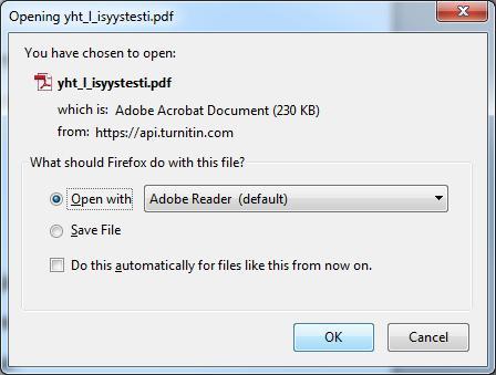 Avautuvista välilehdistä valitse lataa PDF tämänhetkisestä näkymästä (ks.