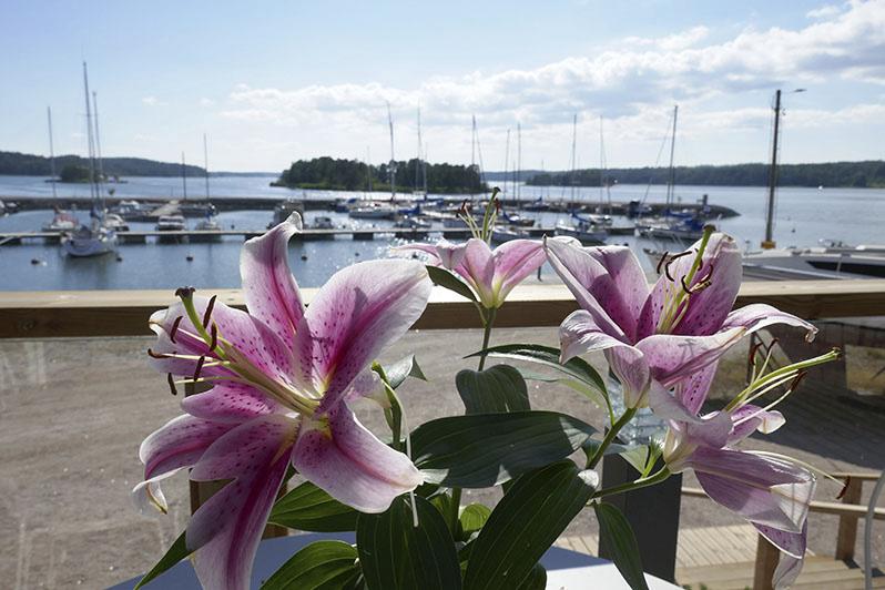 Kahvit nautitaan merellisissä maisemissa. Hinta 5,00 /hlö 7.6. KESÄN KUKKALOISTOA KATSOMAAN Kukapa meistä ei haluaisi pihalleen tai parvekkeelleen kauniita kukkia kesäksi.