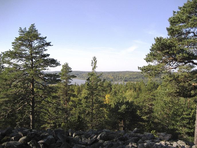 Alueella tavataan uhanalaisia ja muita lajeja kuten saukko, lepakoita, simpukoita, koskikara ja lohikaloja.