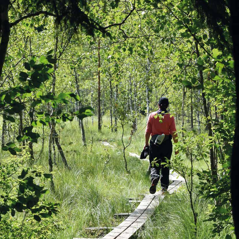 Retket: 5.5. Tevavuoren Polku, Nousiainen Lähtö Vuorenpään tilan piha-alue klo 9 11 (matkat perhereitti n. 2,5 km, Uunisvuoren reitti n. 5 km ja Tevavuoren reitti n. 10 km) www.kuhankuononlatujapolku.