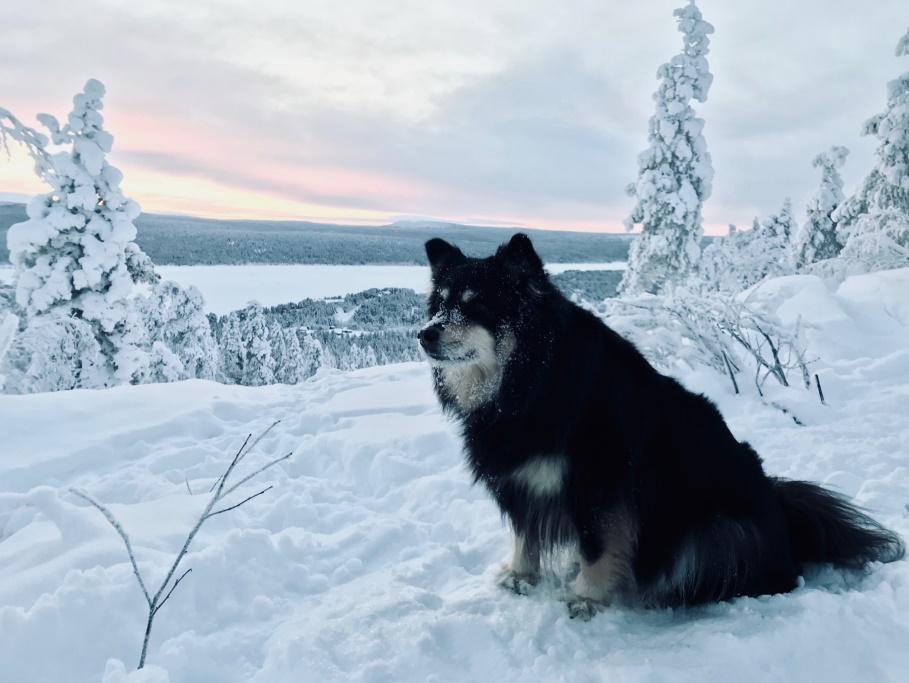 KATRI LUOMA-AHO Osastopäällikkö/Ympäristöpalvelut Pöyry Finland Oy DI, Oulun yliopisto, ympäristötekniikka, 2003 https://www.linkedin.