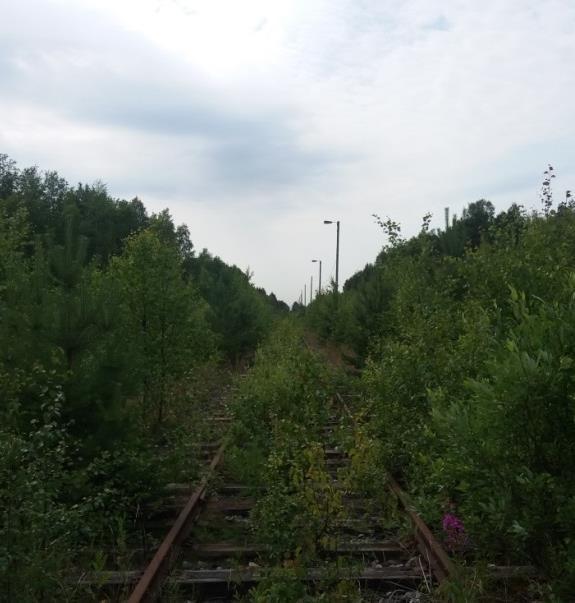 Raitotien ja Ruskontien reunassa on hoidettu viheralue. Teiden risteyskohdan kiertoliittymän kohdalla on havu- ja lehtipuuistutuksia.