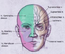 Herpes zoster ophthalmicus (VZV) Hutchinson sign edeltää silmäsairauden syntyä