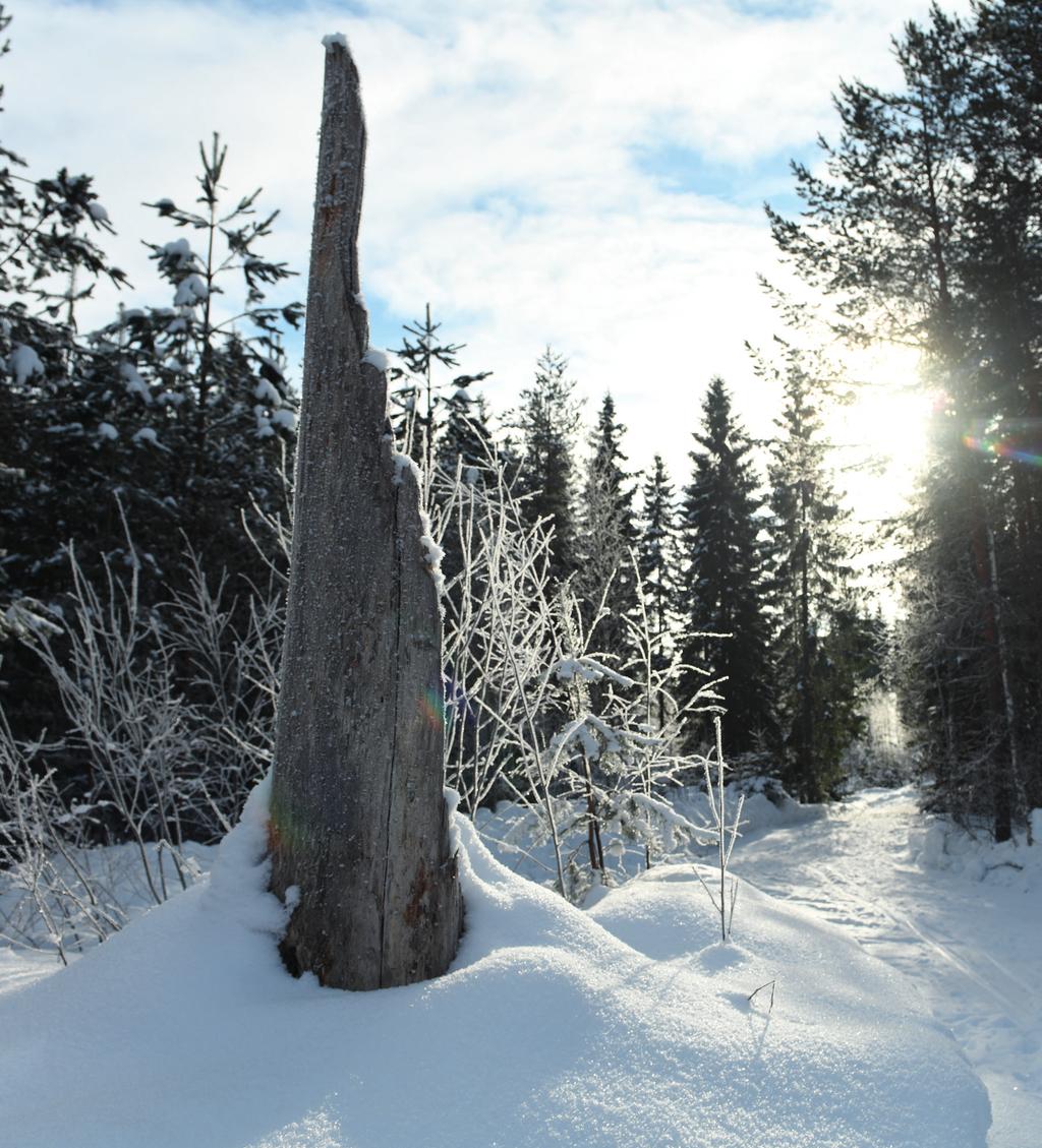 FSC-SERTIFIOINTI YHDISTÄÄ KANNATTAVAN JA VASTUULLISEN METSÄNHOIDON FSC on käytetyin ja maailmanlaajuisesti tunnetuin puutuotteiden alkuperäketjun seurantajärjestelmä.