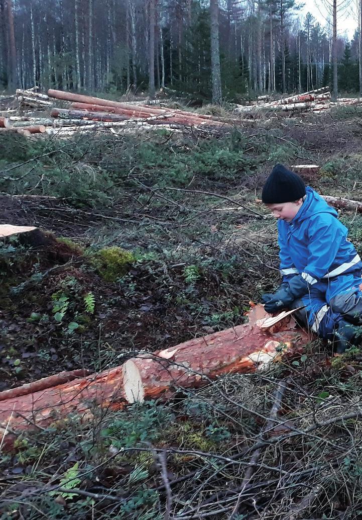 FSC F000211 MITEN MUKAAN FSC-SERTIFIOINTIIN? Helpoin tapa liittyä mukaan FSC-sertifiointiin on ryhmäsertifioinnin kautta.