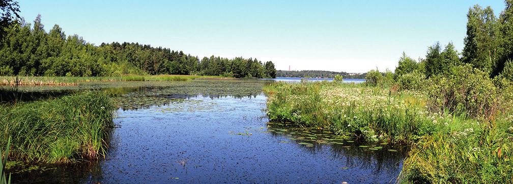 Tutuiksi tulevat taideteokset, jotka ovat syntyneet mielenkiintoisissa Pirkkala Sculpture -taidetapahtumissa. Teoksista on tullut kiinteä osa ympäristöään muodostaen ainutlaatuisen taidepolun.