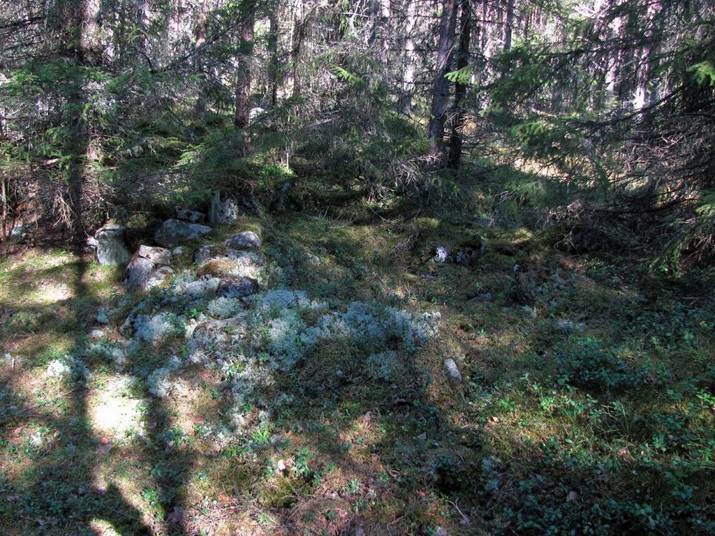 Yli-Teevahainen,