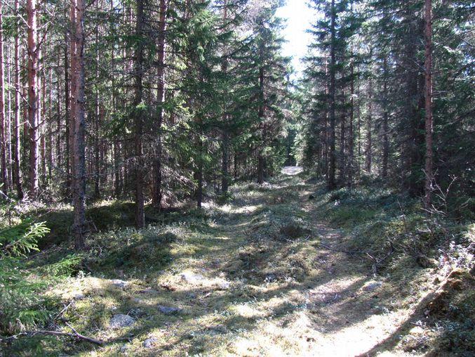 14 9. Aineistoluettelo Digitaalinen aineisto: Arkistolaitoksen digitaaliarkisto: Pitäjänkartat, Maalahti, Närpiö, http://digi.narc.fi/digi/search.ka Geologian tutkimuskeskus, http://gtkd