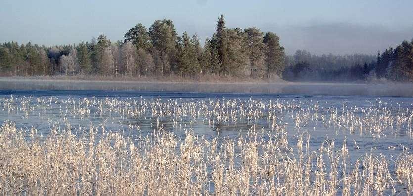 Metsälahjavähennys Ei edellytä sukulaisuutta => II veroluokan saajilla vähennyspohjaa muodostuu enemmän Vähennysoikeus henkilökohtainen käyttämätön vähennys ei siirry lahjassa seuraavalle saajalle