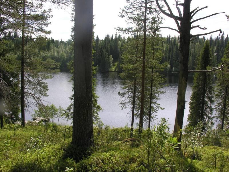 Virkkulan rantaalueen umpeutumassa oleva laidunniitty on maisemallisesti komea puoliavoin kokonaisuus. Vesialueelta käsin tarkasteltuna Virkkulan rantakaista on tavanomainen.