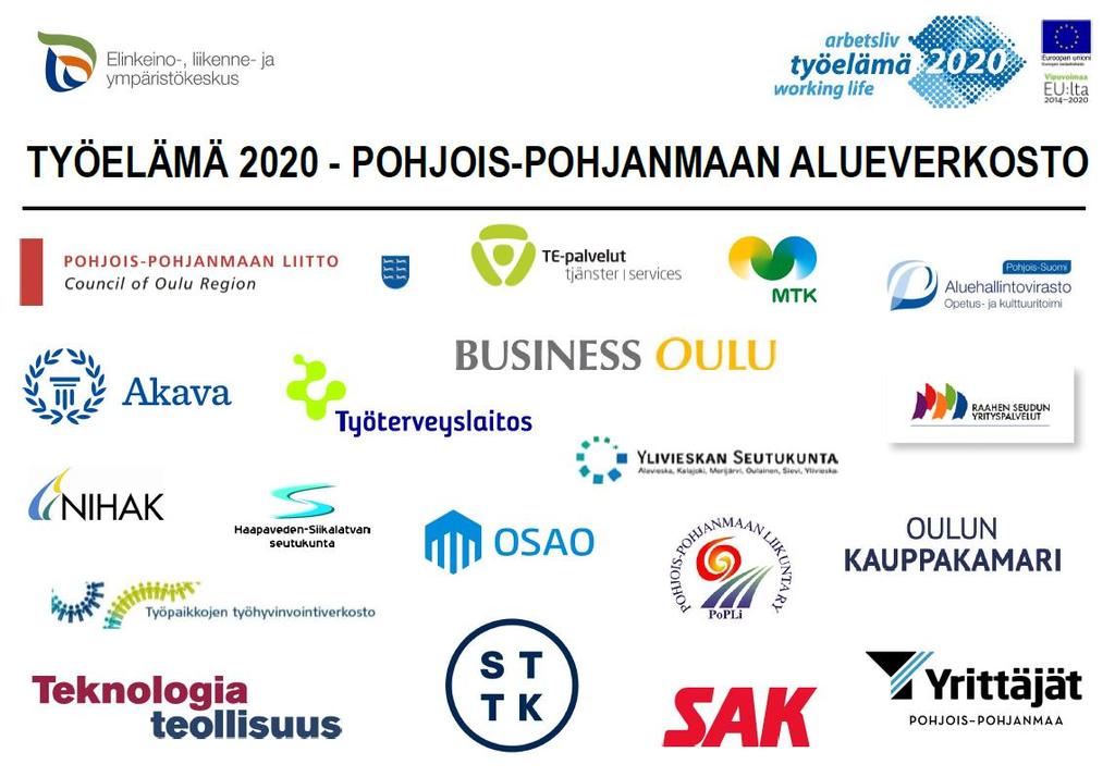 Työelämä 2020 hankkeen