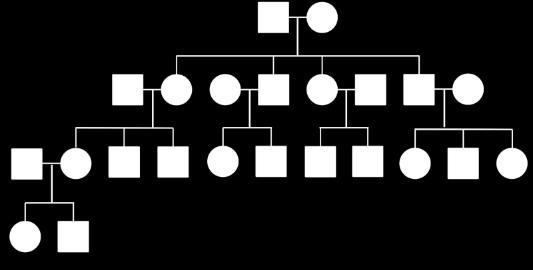 34. Mihin periytymistapaan alla esitetty sukupuu parhaiten sopii? (ilmenevä ominaisuus mustalla, mies=neliö ja nainen=ympyrä) a. Autosomaalinen dominoiva b. Autosomaalinen resessiivinen c.