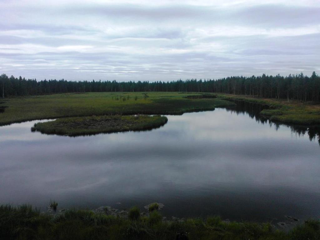 Kuva 2.5. Koistisjärven kosteikko on suunniteltu ja toteutettu metsätalouden luonnonhoitohankkeena. Asutus Kalajoen vesistöalueelle on 1.