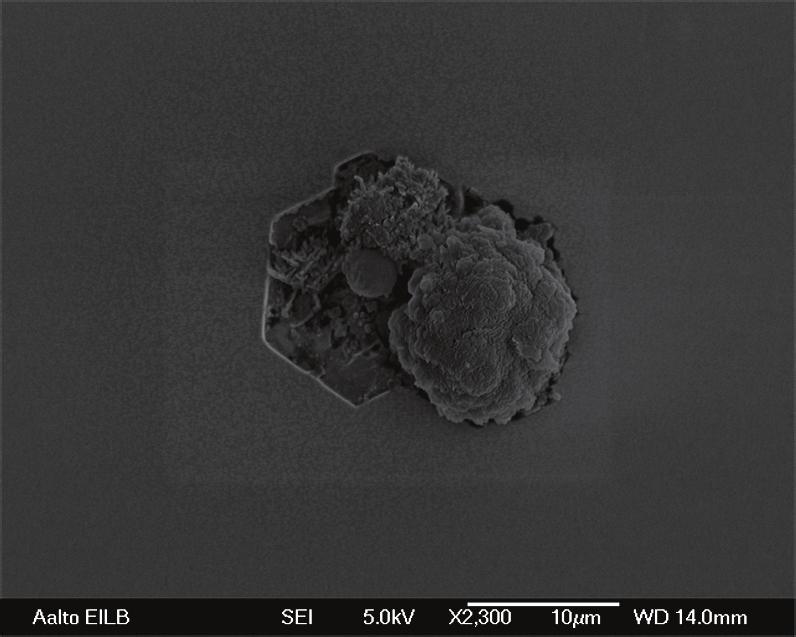50 Figure 24: SEM micrograph of a particle on the AlN surface. In order to test this hypothesis, the growth process was repeated using the same process parameters.