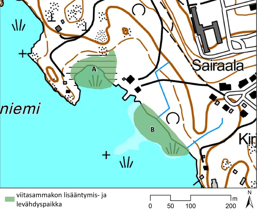 FCG SUUNNITTELU JA TEKNIIKKA OY Raportti 4 (7) 5 Tulokset Selvitysalueella havaittiin kaksi erillistä, mutta hyvin lähekkäistä viitasammakon lisääntymis- ja levähdyspaikkaa.