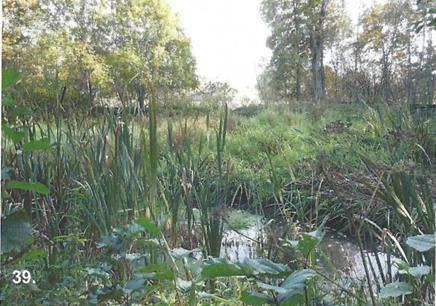 patoallas on nykyään umpeenkasvanut (DR) 40.