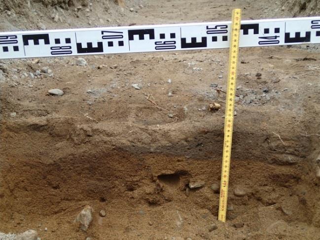 Siinä oli sekoittunutta kerrosta paksuimmillaan 11 cm, josta tuli purkujätettä