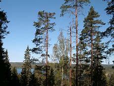 Varautumissuunnitelma (Häiriötilannesuunnitelma) Huhtijärven alueen vesiosuuskunta Suunnitelma laadittu ad 20.05.2018 Viimeinen muutos pvm 15.08.
