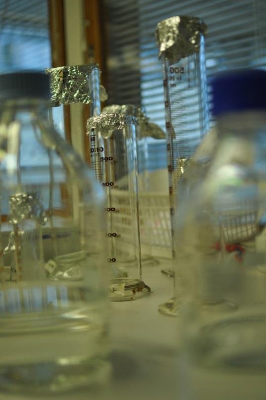 Kiitokset THL Legionella tiimi: Terveysturvallisuus osasto Asiantuntijamikrobiologia yksikkö: Jaana Kusnetsov, Pia Räsänen, Pia Airaksinen, Silja Mentula Infektiotautien torjunta ja