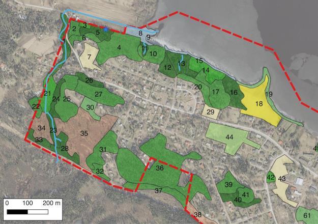 2.3.1 Luontotyyppikuviot Luontotyypit on esitelty seuraavin alaotsikoin: Vattola Selvitysalueen keskiosat Muut arvokkaat luontotyypit Vattola Vattolan alueella on runsaasti reheväkasvuisia vanhalle