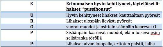 Taulukko 6. ProAgrian ohjeistus EläväEUROP arvosteluun (Ahlskog n.d. a) 28 8.2.5 Lihantuotantoindeksi Lihantuotantoindeksi on yhdistelmäindeksi kasvu-, lihakkuus- ja rasvaindekseistä.