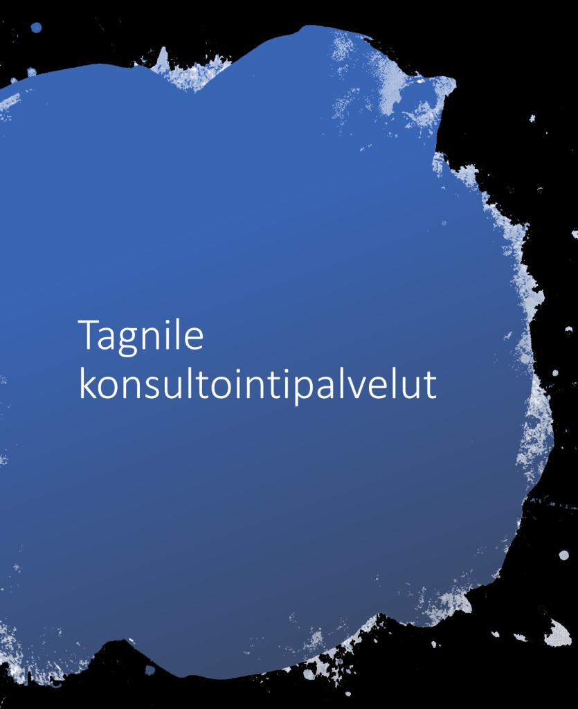 Konsultointi Projektien hallinta Uusien tarpeiden lisääminen / muokkaaminen Uusien ominaisuuksien käyttöönotto -