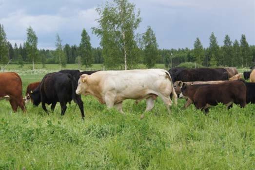 kannattaa hyödyntää. Selvitä kenen avulla saisit perustetuksi yrityksesi.