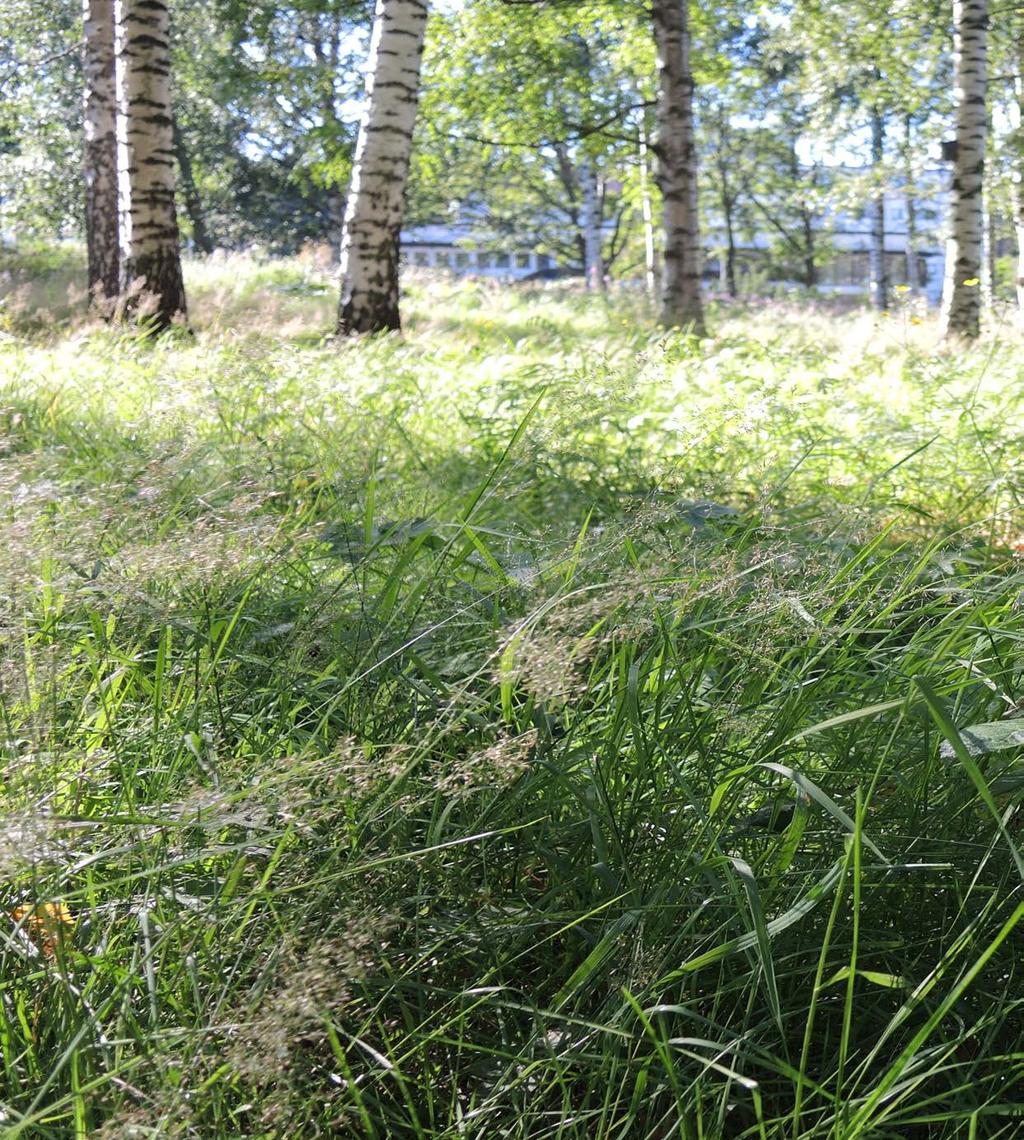 SISÄLLYS Johdanto 3 1 KOHTEEN KUVAUS 4 1.1 Yleiskuvaus 4 1.2 Luonnonolosuhteet 4 1.3 Kasvillisuus 4 1.4 Kohteen arvot 5 2 HOIDON TAVOITTEET 6 3 HOITOMENETELMÄT 7 3.1 Perustamistoimenpiteet 7 3.