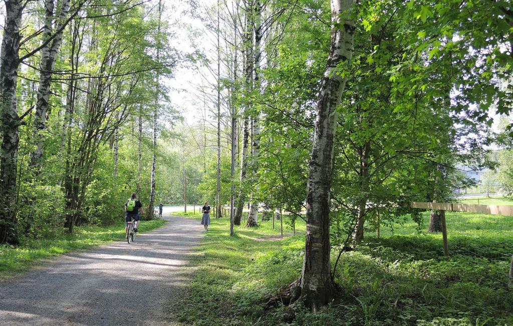 hiirenporras ja seittitakiainen. Alueen puustoisen pohjoisosan pohjakasvillisuus on varjostuksesta johtuen yksipuolisempaa kuin avoimella niityllä.