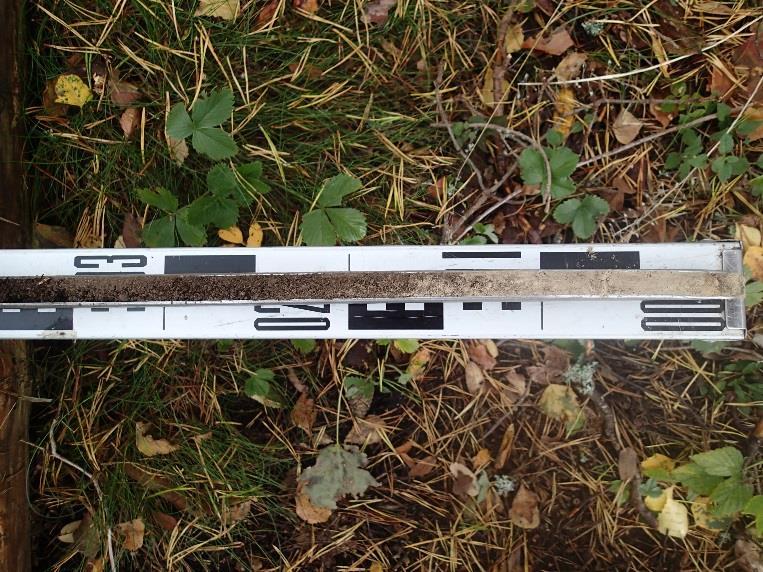 Se on kuitenkin todettu ja dokumentoitu jo aiemmassa inventoinnissa: Pienemmän läntisen kuopan luoteispuolella noin 10 metrin päässä on suorakulmanmuotoinen kivikasa, jossa ei ole nurkkakiviä.