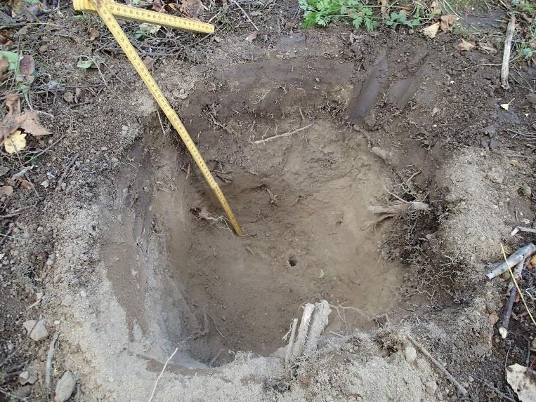 15 Kuva 12. Koekuoppa 1. Kerrosjärjestys pinnasta lukien: 0-10 cm multa, 10-46 cm alaspäin vaaleneva vaaleanharmaa hieta, jossa juurien jättämää eloperäistä ainesta.