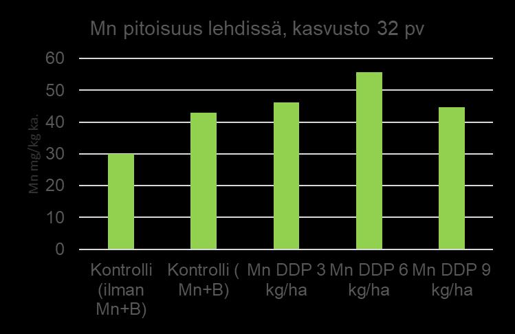 Koeruuduilta Mangaanipitoisuus lehdissä kasvaa luonnostaan kasvukauden aikana,