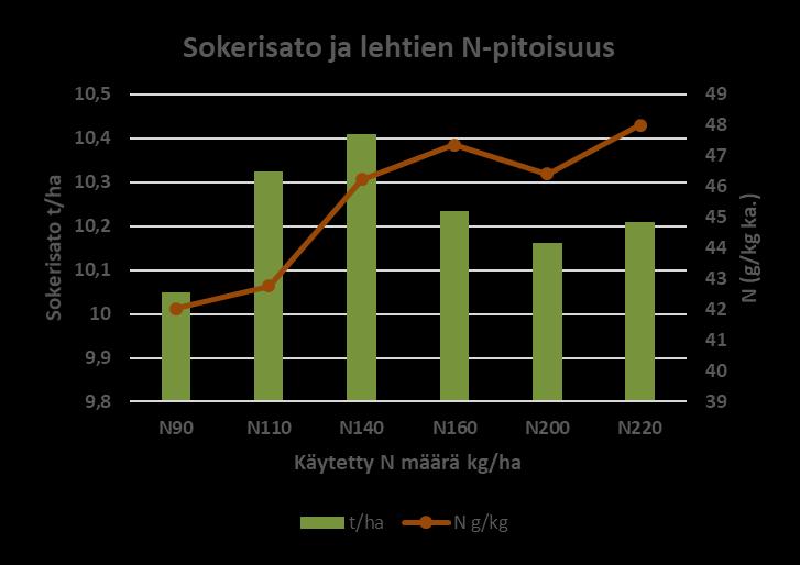 Koeruuduilta