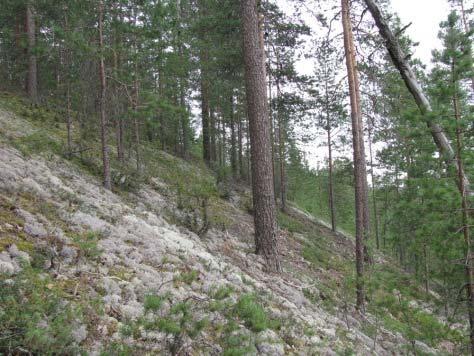 3 kaavaa, 3 esimerkkiä tiedon käytöstä ja tiedolla