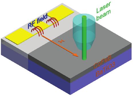 Results and III). In contrast, the width of the head-to-tail configuration is determined by a competition between exchange and anisotropy energies and, hence, it only weakly depends on film thickness.