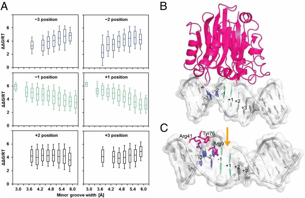 DNaseI hypersensitivity KLF4 20 kb Boyle et al.
