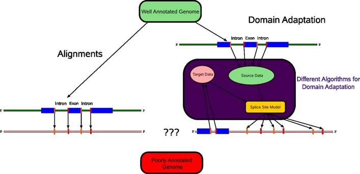 Domain Adaption by Learning vs.