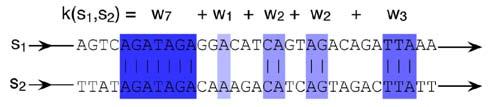 Weighted Degree Kernel Block Formulation Without shifts: Compare two sequences by identifying the largest matching blocks: where a matching block of length k implies many shorter