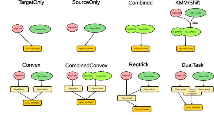 Domain Adaptation Algorithms Overview Gunnar Rätsch (FML,