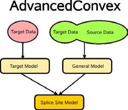Domain Adaptation Methods Idea: Takes interactions between source and target examples into account Two times linear search spaces for individual methods Captures