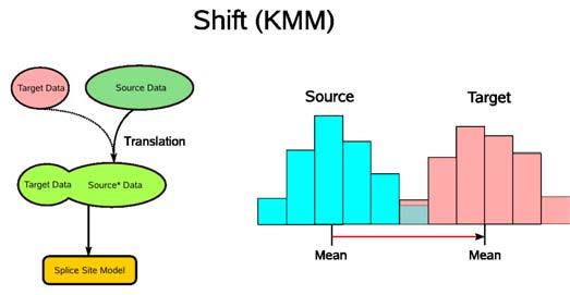 Domain Adaption Methods Idea: Based on same assumption Mean matching via translation rather