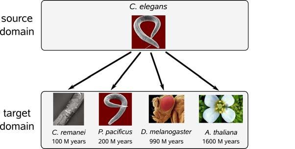 Large scale experiments Varying distances Different data set sizes [MPI Developmental Biology, Departments 4