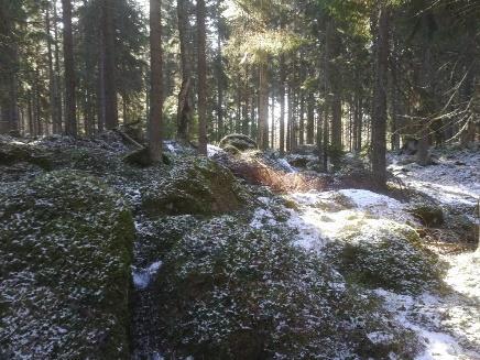 2019 Päätelmät Määrlahden alue on historiallisesti ollut lähikylien metsä- ja niittyaluetta.