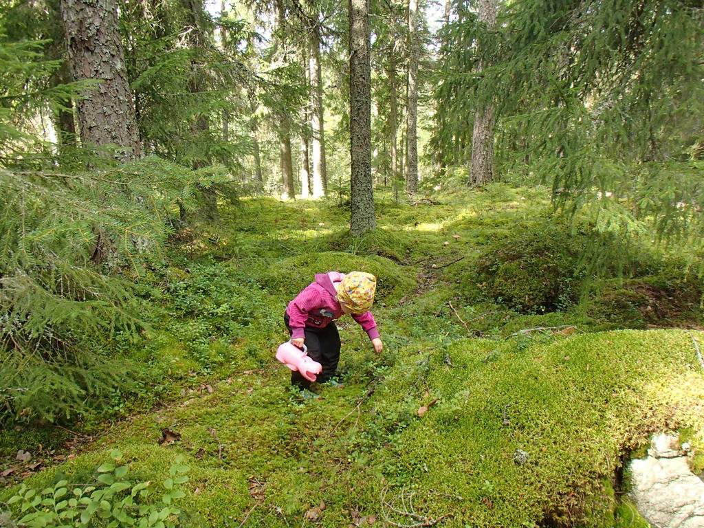 KESTÄVÄÄ KEHITYSTÄ TEHDÄÄN MEILLE JA TULEVILLE SUKUPOLVILLE! 5.